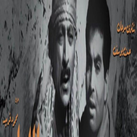 سجين الليل