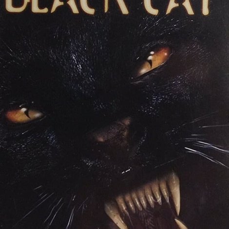 Black Cat