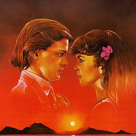Fiebre de Amor
