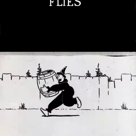 Flies