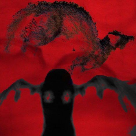 Púca
