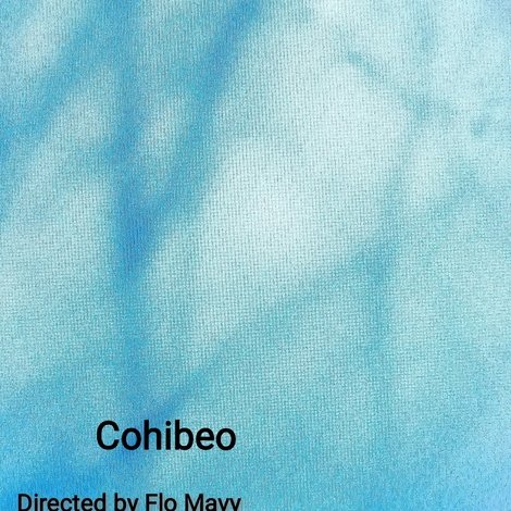 Cohibeo