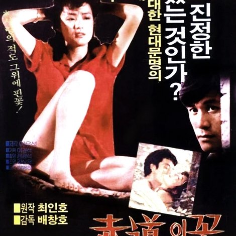 적도의 꽃