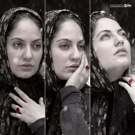برف روی کاجها