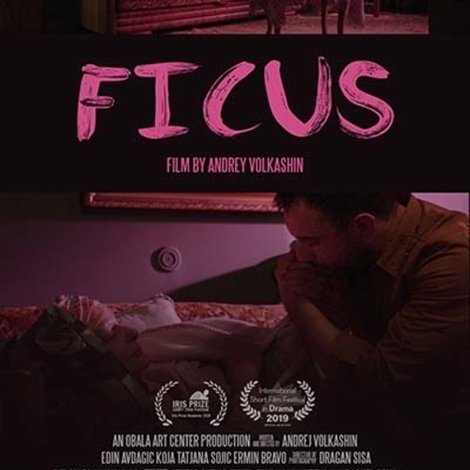 Fikus