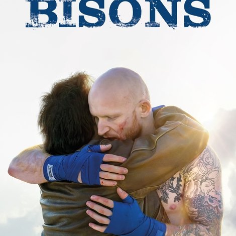 Bisons