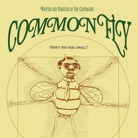 Common Fly