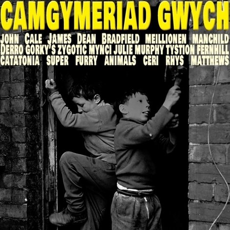 Camgymeriad Gwych