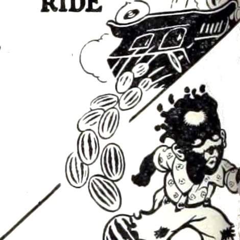 One Wild Ride
