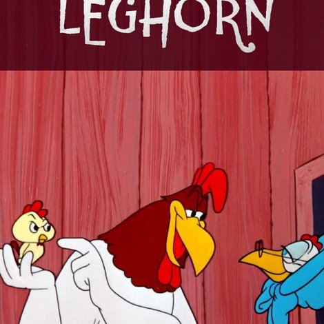 A Broken Leghorn