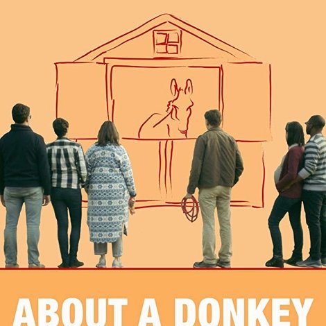 About a Donkey