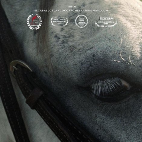 Caballo Blanco
