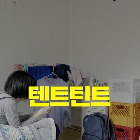 텐트틴트
