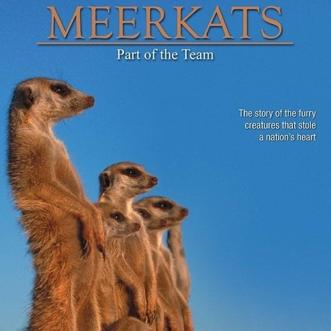 Meerkats: Part of the Team