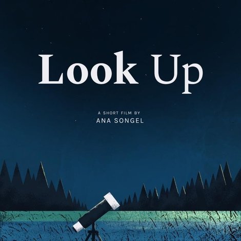 Look Up
