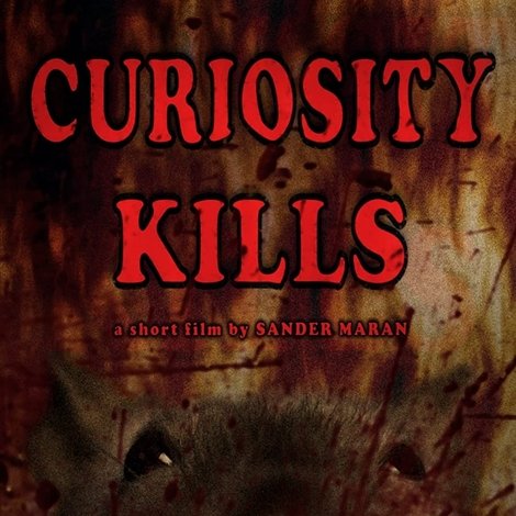 Curiosity Kills