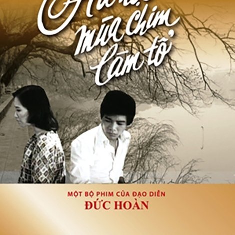 Hà Nội mùa chim làm tổ