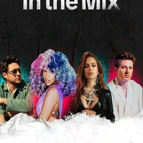 TikTok: In the Mix