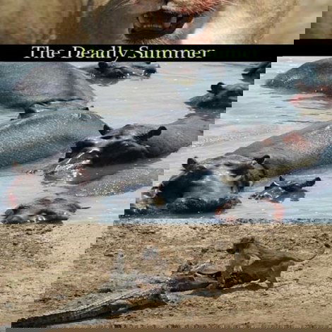 Deadly Summer