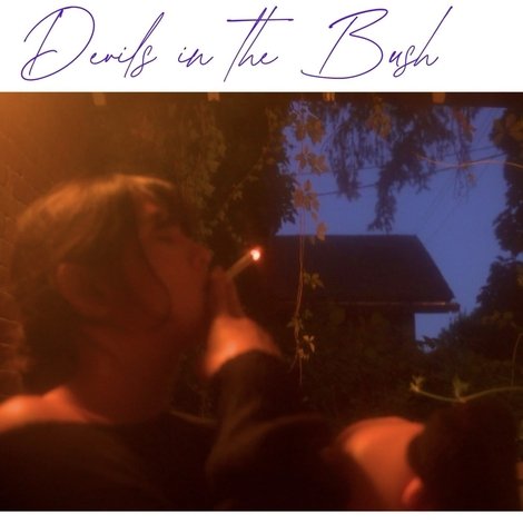 Devils in the Bush