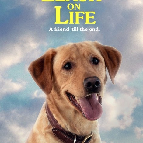 A New Leash On Life