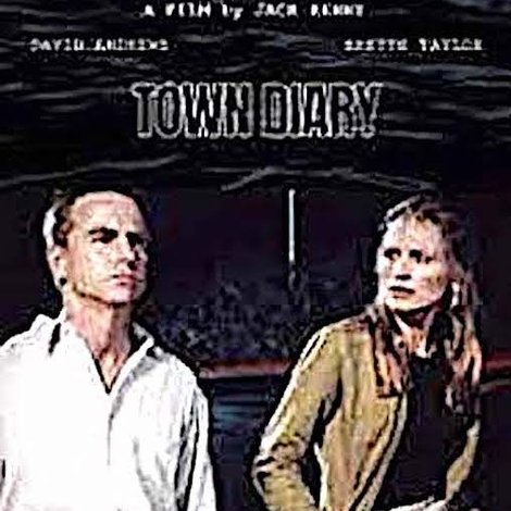 Town Diary
