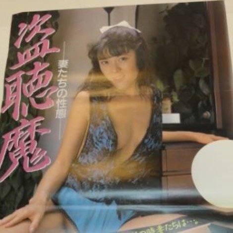 盗聴魔 妻たちの性態