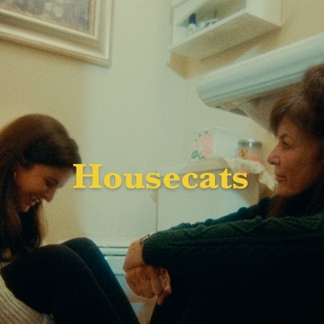 Housecats