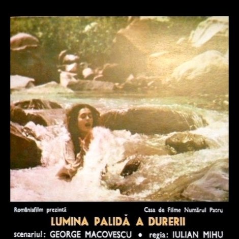 Lumina palidă a durerii