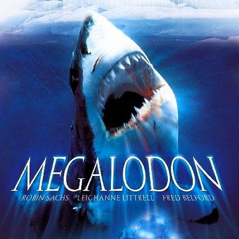Megalodon