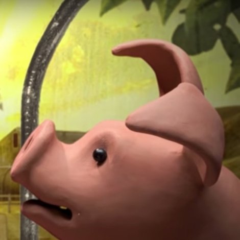 A Pig's Tail