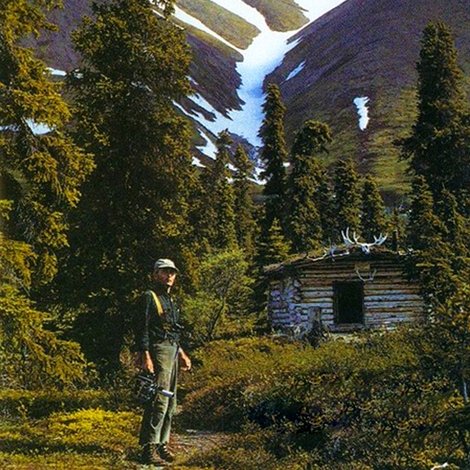 Alone in the Wilderness