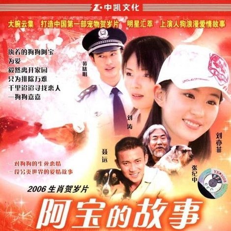 阿宝的故事
