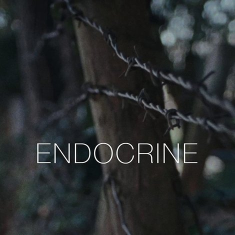 Endocrine