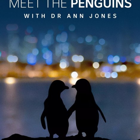 Meet the Penguins