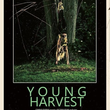 Young Harvest