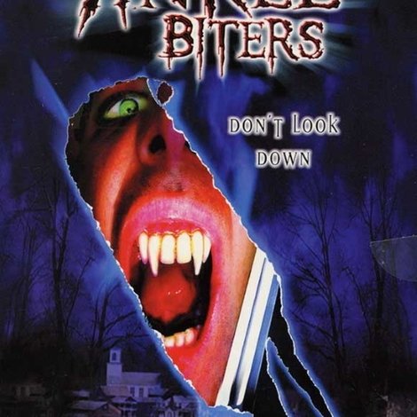 Ankle Biters