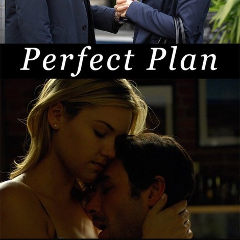 Perfect Plan