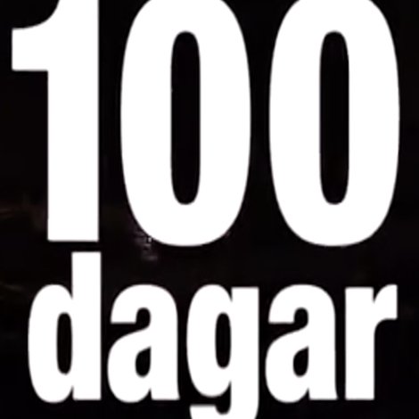 100 dagar - Sverigedemokraterna