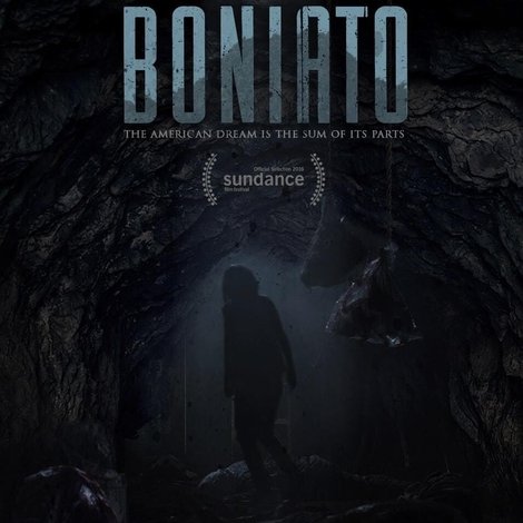 Boniato