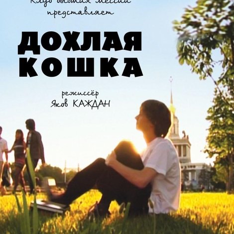 Дохлая кошка