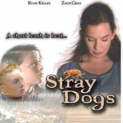 Stray Dogs