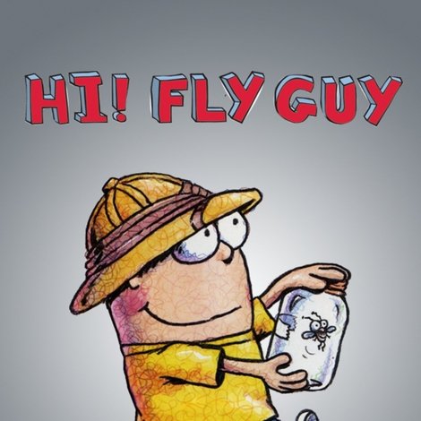 Hi! Fly Guy