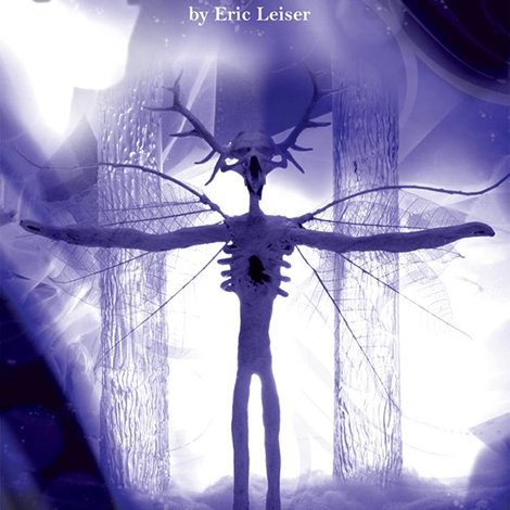 Eclectic Shorts by Eric Leiser