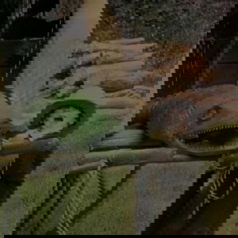 Bout-de-Zan et le crocodile