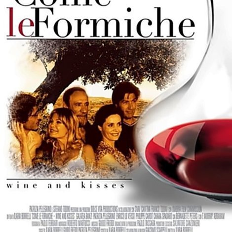 Come le formiche