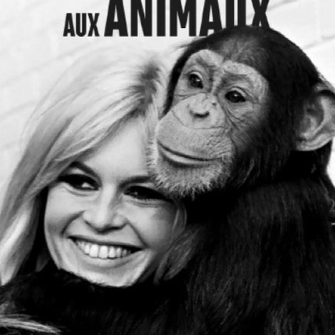 Brigitte Bardot, le serment fait aux animaux