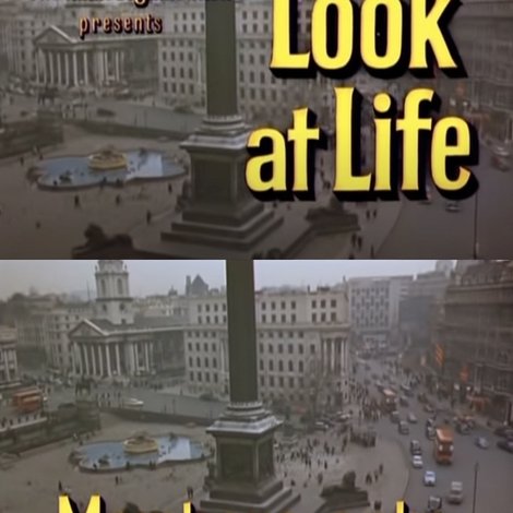 Look at Life: Members Only