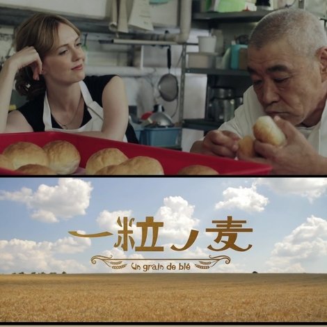 一粒の麦