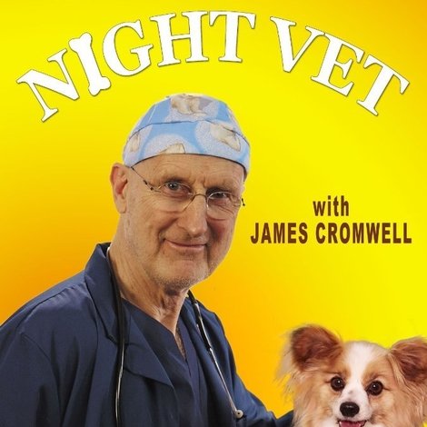 Night Vet